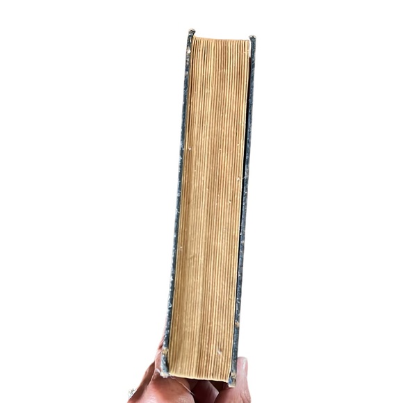 Vintage Book~WILD HORSE MESA~Zane Grey - Picture 4 of 8